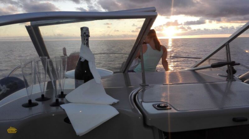 madeira-whale-and-dolphin-watching-private-cruise