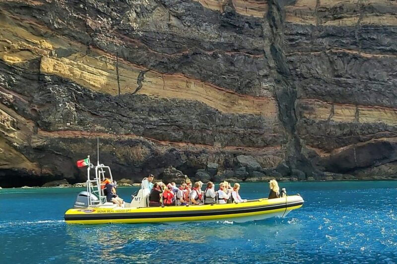 madeira-whale-and-dolphin-watching-tour
