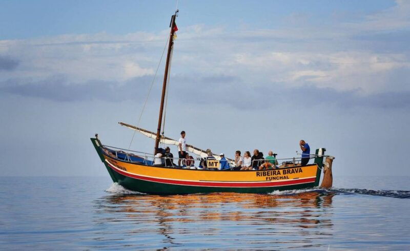 madeira-whale-watching-excursion-in-a-traditional-vessel
