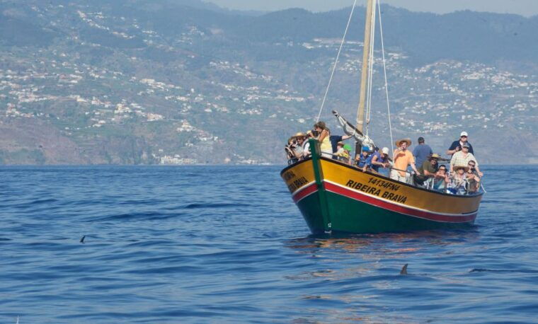 madeira-whale-watching-excursion-in-a-traditional-vessel