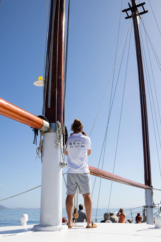madeira-whales-and-dolphins-wooden-boat-excursion