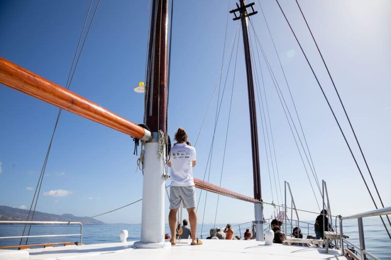 madeira-whales-and-dolphins-wooden-boat-excursion