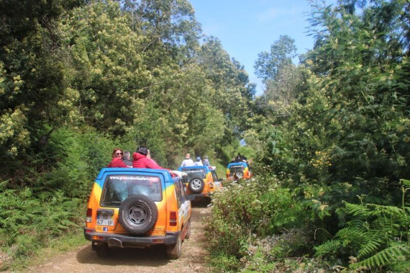 madeira-wine-tapas-cabo-girao-skywalk-4x4-jeep-adventure