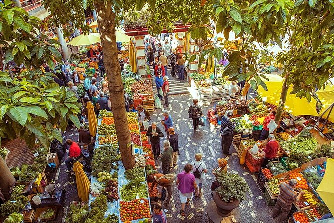 madeira-wine-tasting-and-funchal-city-tour-2