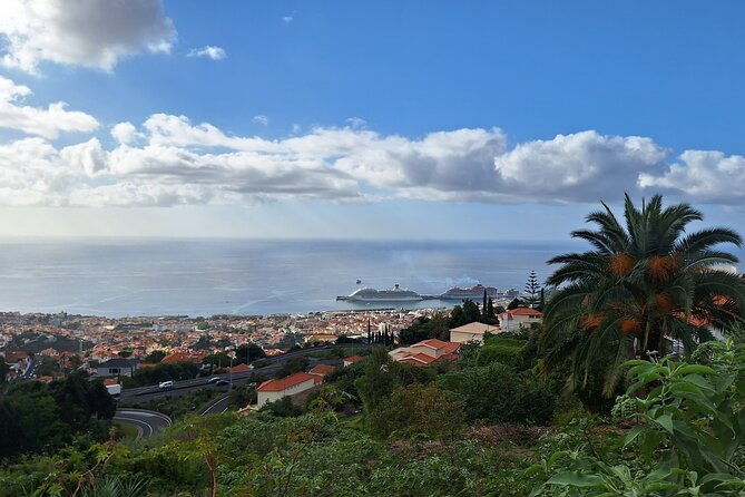 madeira-wine-tasting-and-funchal-city-tour-2