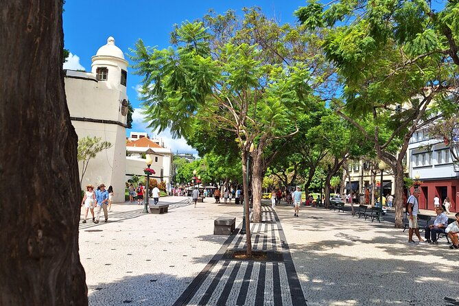 madeira-wine-tasting-and-funchal-city-tour