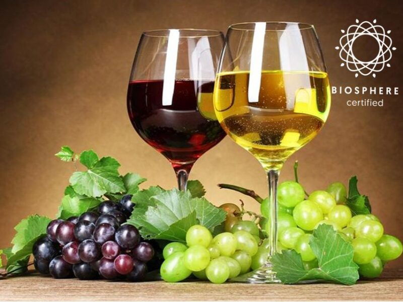 madeira-wine-tasting-experience-honey-museum-and-cabo-girao