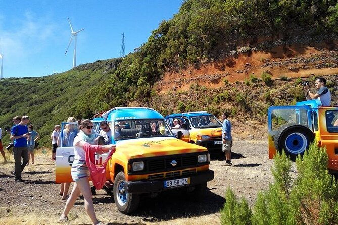 madeiras-majestic-south-coastal-wonders