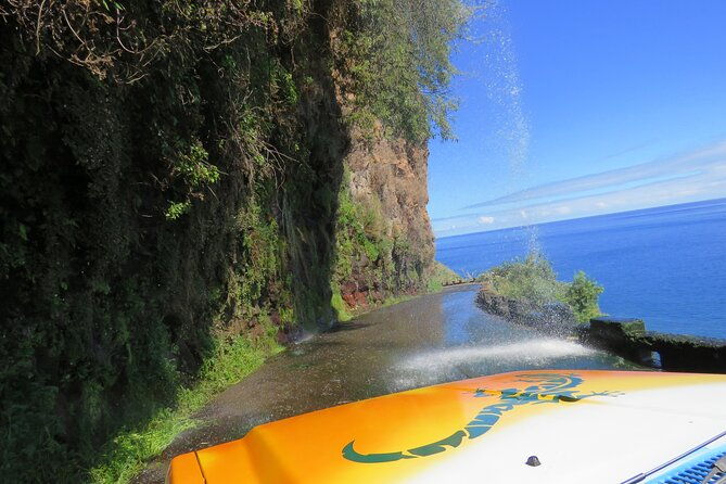 madeiras-majestic-south-coastal-wonders