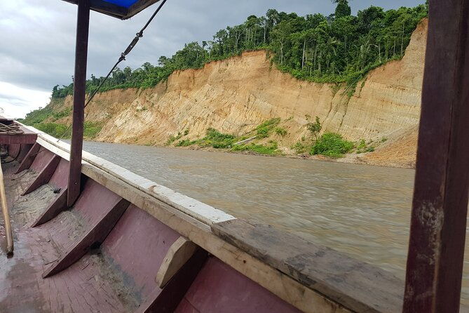 madidi-pampas-4-days-from-rurrenabaque-native-community-run