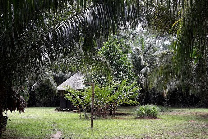 madidi-pampas-4-days-from-rurrenabaque-native-community-run