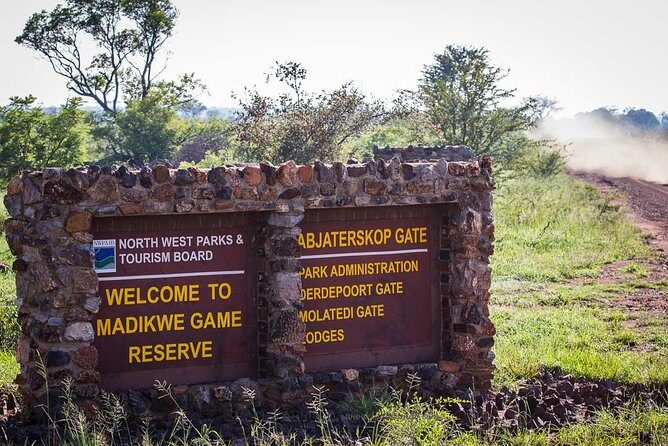 Madikwe Game Reserve Day Tour (Minimum per booking: 5 People) - Introducing the Madikwe Game Reserve Day Tour: An Authentic Safari Experience from Gaborone