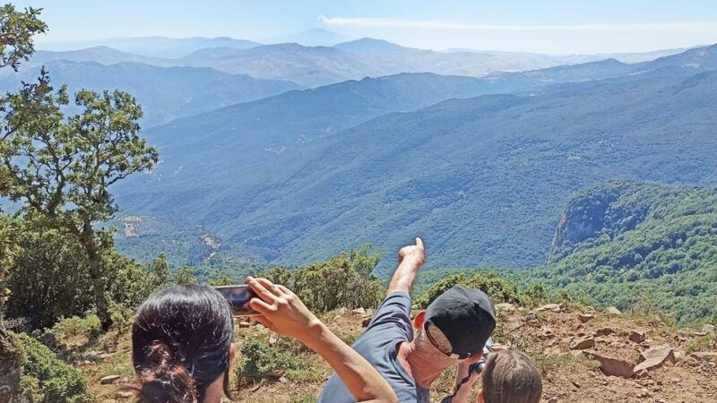 madonie-natural-park-giant-holly-trees-hike