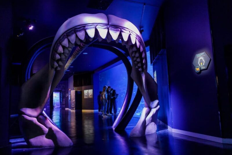 madrid-atlantis-aquarium-entry-ticket