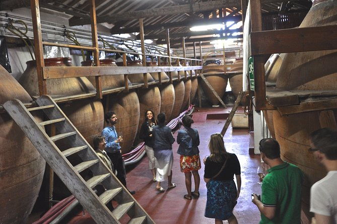 madrid-countryside-wineries-guided-tour-with-wine-tasting