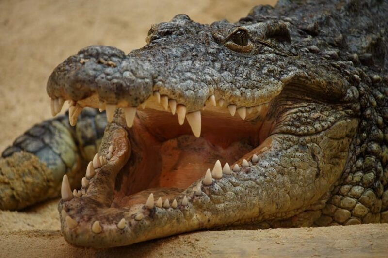 madrid-faunia-entry-ticket