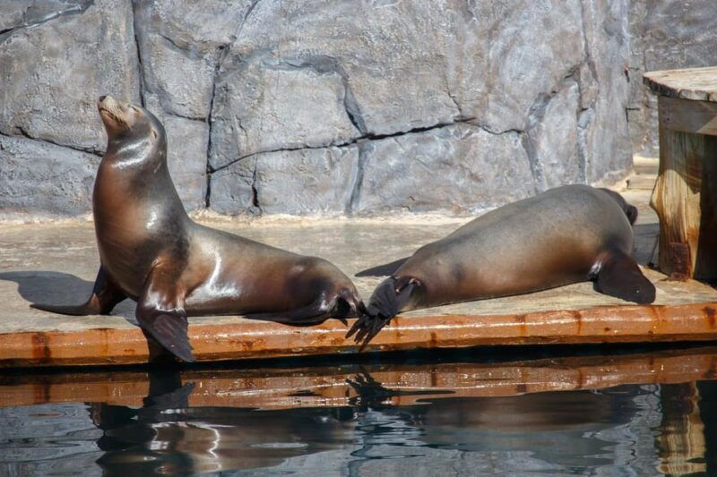 madrid-faunia-entry-ticket