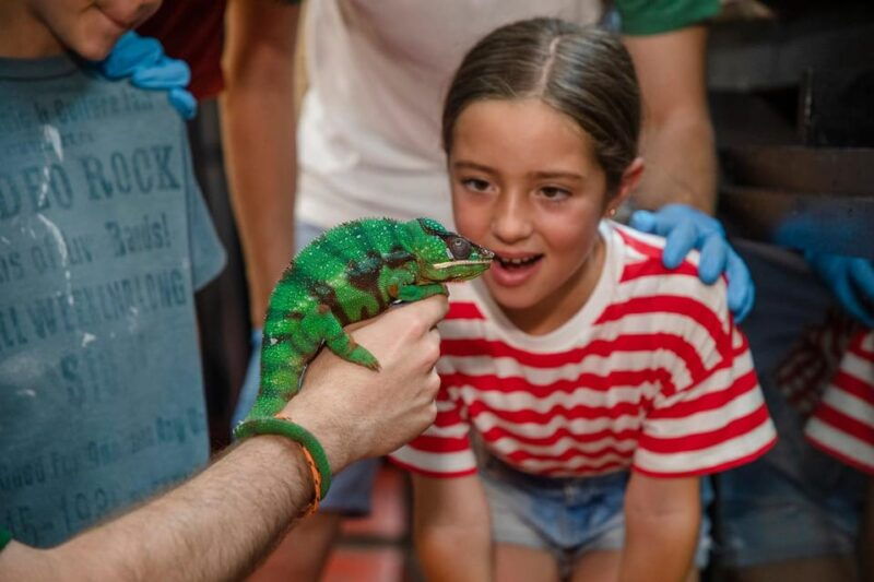 madrid-faunia-entry-ticket