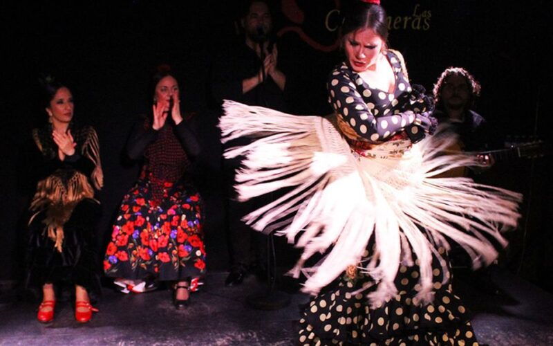 madrid-flamenco-show-with-tapas-and-wine-tour