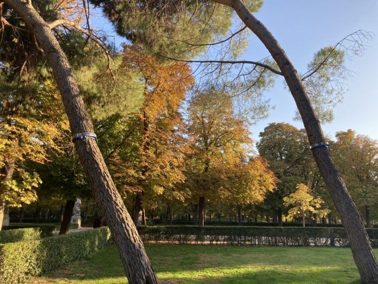 madrid-flow-yoga-class-in-retiro-park