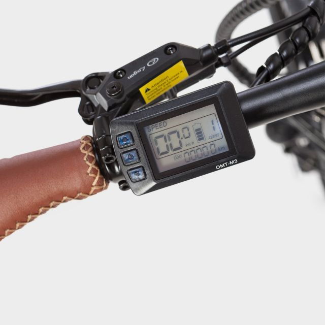 madrid-guided-electric-bike-tour-city-center-retiro-park