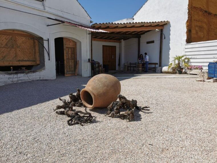 madrid-half-day-wine-region-tour