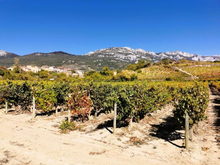 madrid-half-day-wine-region-tour