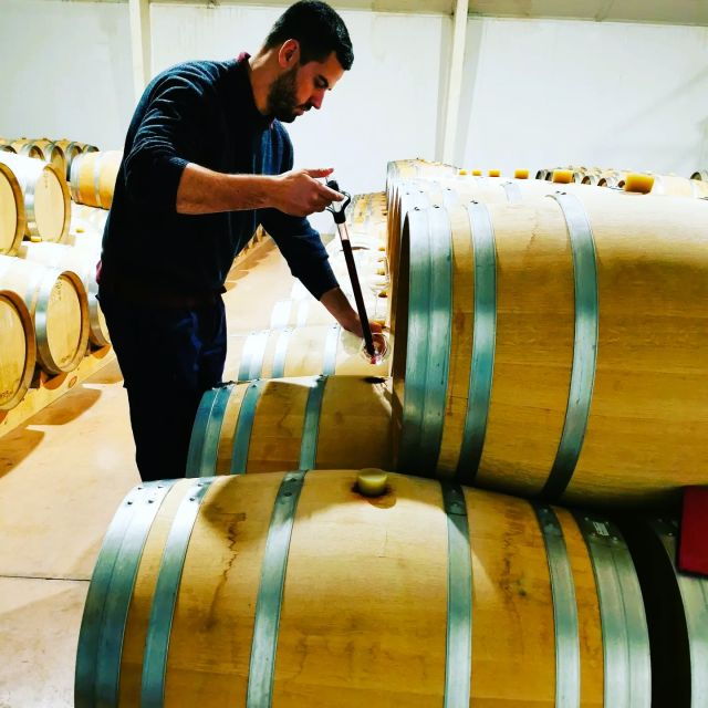 madrid-half-day-wine-region-tour