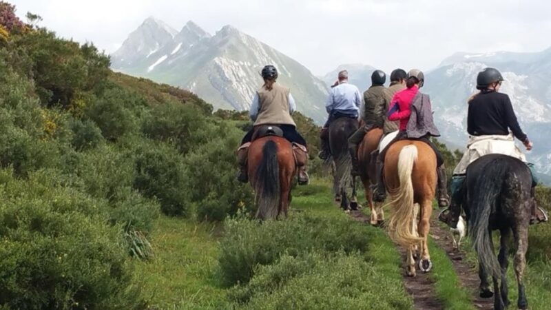 madrid-horse-riding-in-sierra-del-guadarrama-national-park