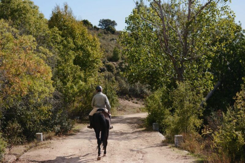 madrid-horse-riding-in-sierra-del-guadarrama-national-park