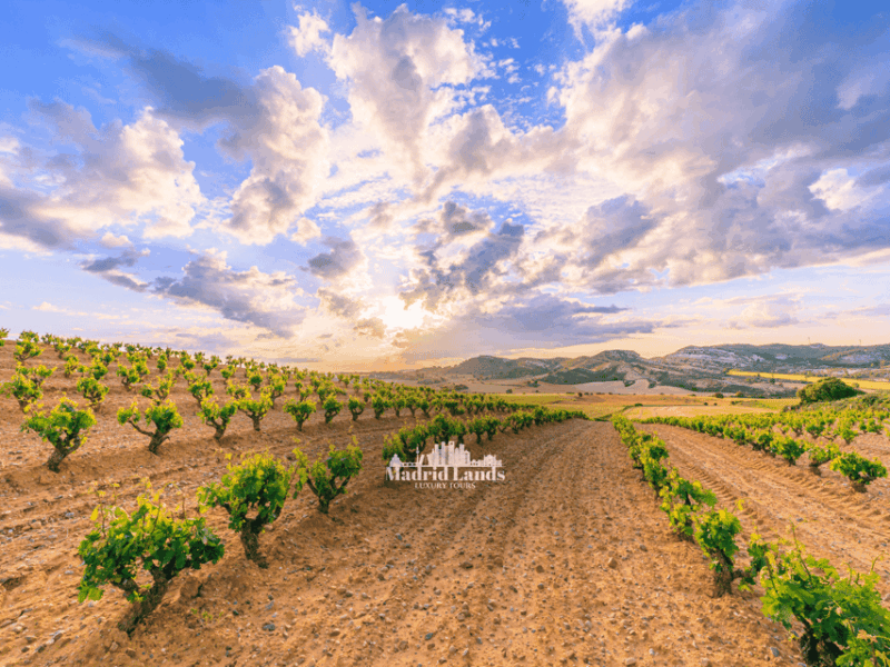 madrid-luxury-winner-and-ribera-del-duero-tour