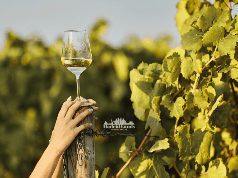 madrid-luxury-winnery-toledo-tour