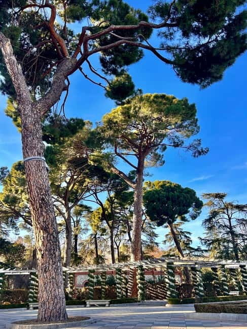 Madrid: Magic Retiro Park Bike Tour - The Sum Up