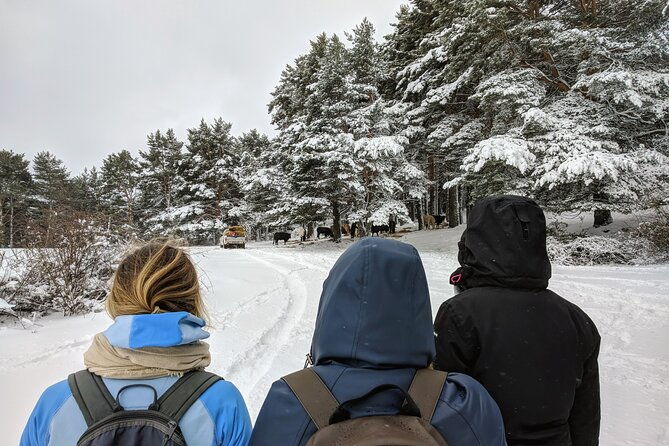 madrid-mountains-free-walking-tour