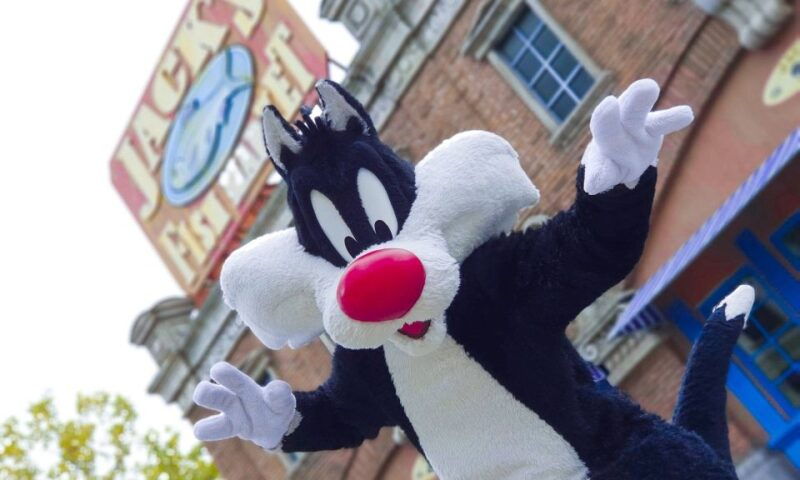 madrid-parque-warner-ticket-and-roundtrip-transportation