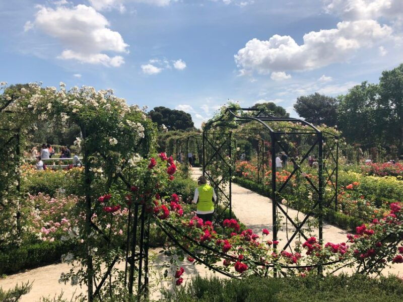 madrid-prado-avenue-and-retiro-park-guided-walking-tour