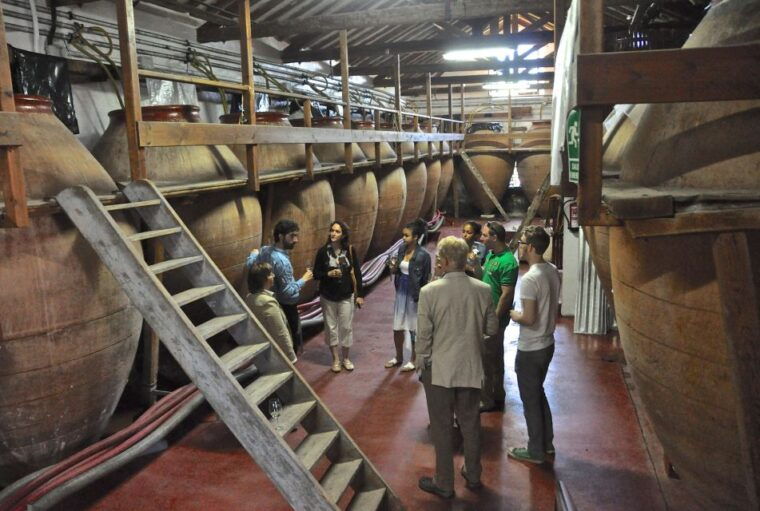 madrid-regional-madrid-wineries-guided-tour-and-tastings