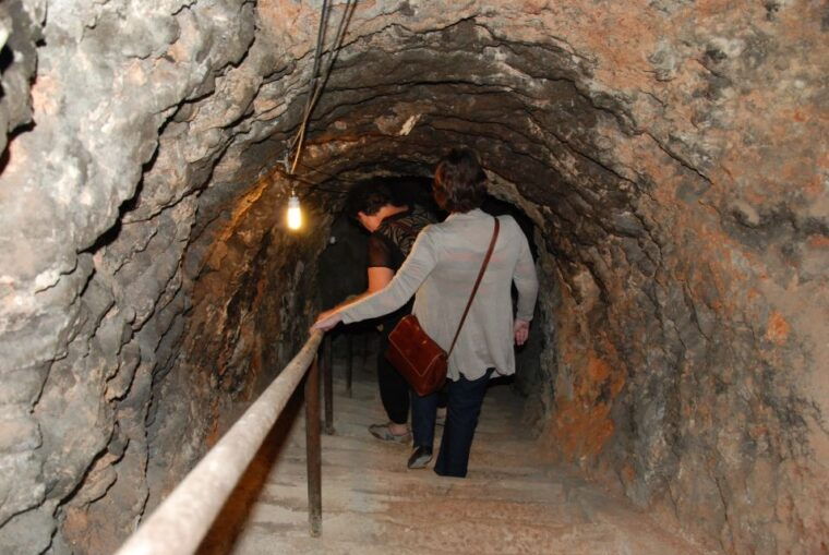 madrid-regional-madrid-wineries-guided-tour-and-tastings