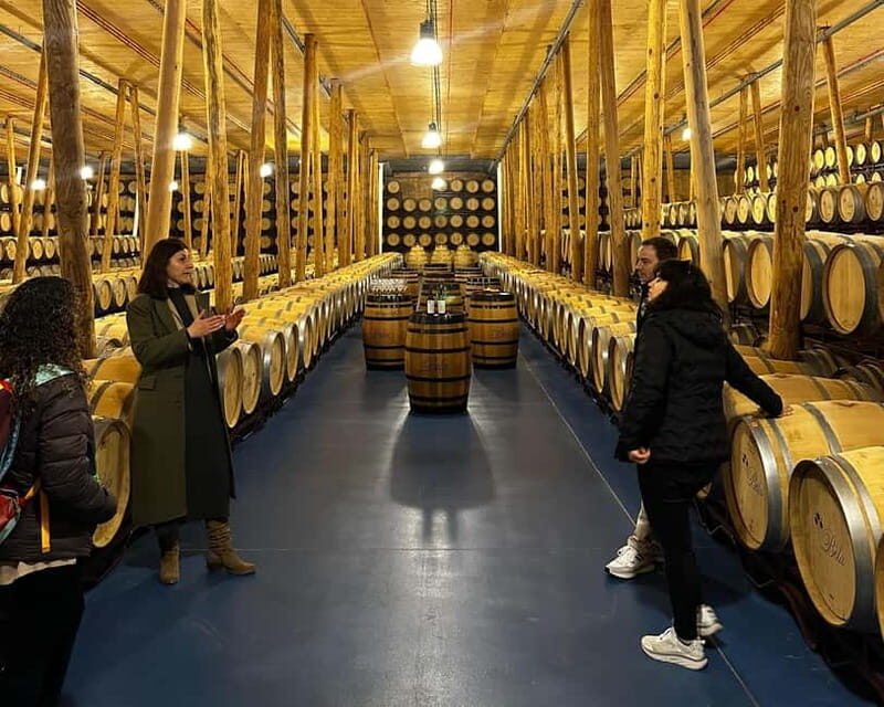 Madrid: Ribera del Duero Wine Tour with Tastings and Lunch - Exploring the Itinerary and Experiences