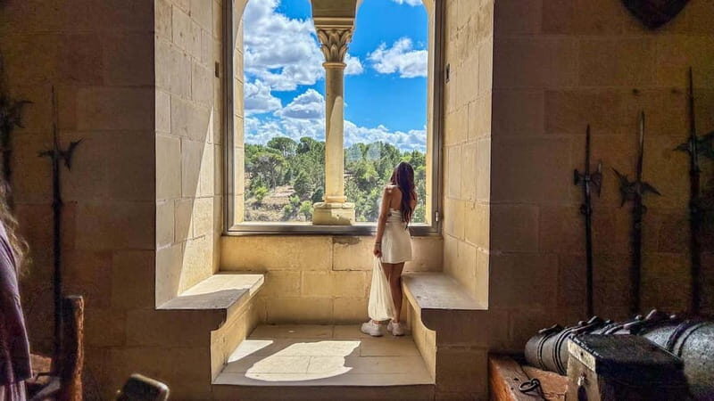 Madrid: Segovia & Ávila Full Day with Alcázar & Wall Tickets - What Sets This Tour Apart