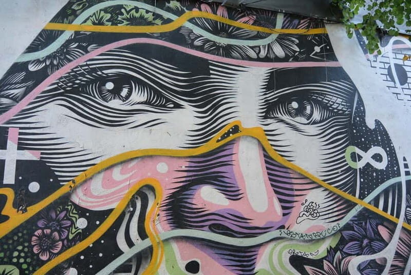 Madrid Street Art Tour (Gran Via, Malasaña & Chueca) - A Detailed Look at the Madrid Street Art Tour