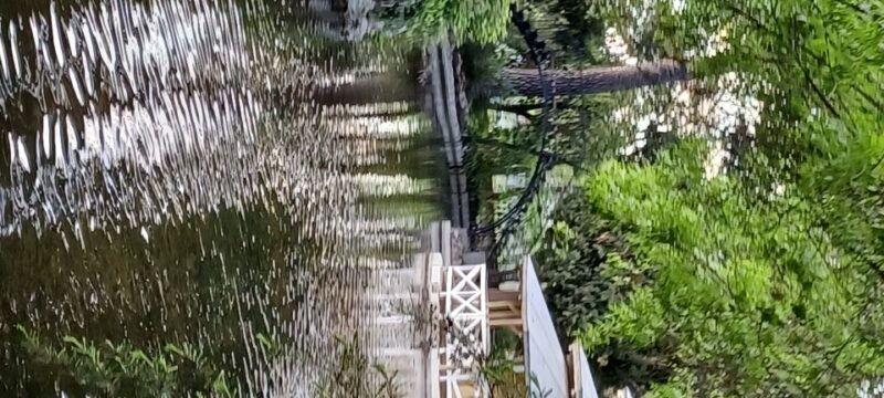 madrid-the-capricho-park-tour