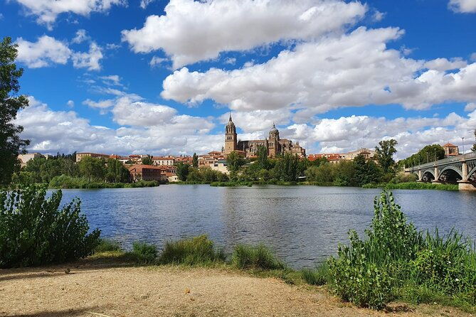 madrid-to-porto-day-trip-up-to-2-stops-avila-and-salamanca