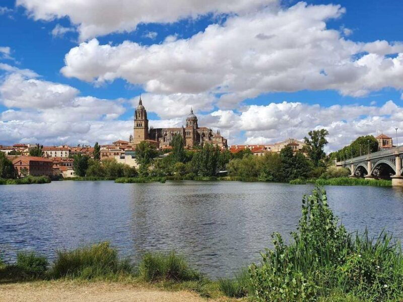 madrid-to-porto-up-to-2-stops-avila-and-salamanca