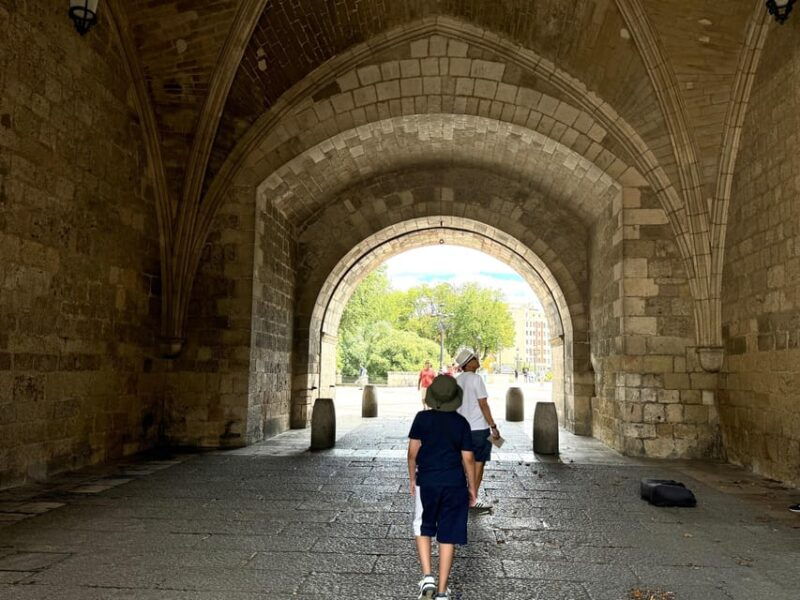 madrid-tour-to-burgos-vivar-del-cid-monastery-of-cardena-cid-campeador