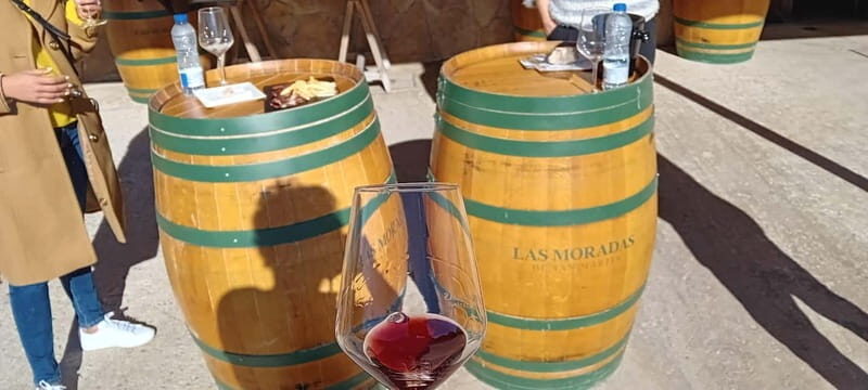 Madrid Wine Tour: Discover Unique Local Wineries & Tastings - Key Points  