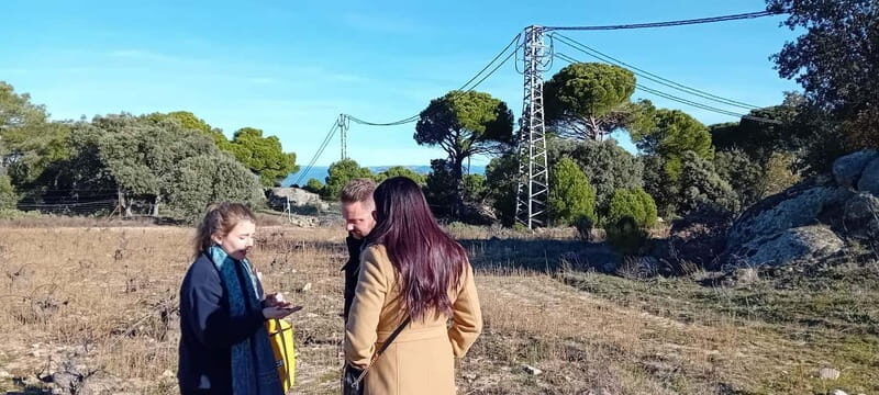 Madrid Wine Tour: Discover Unique Local Wineries & Tastings - Discovering Madrid’s Hidden Wine Scene