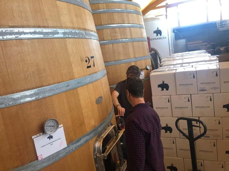 Madrid Wine Tour: Discover Unique Local Wineries & Tastings - Value for Money