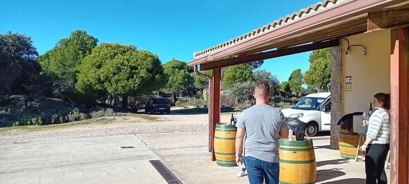 Madrid Wine Tour: Visit Two Wineries with Tastings - Exploring Madrid’s Lesser-Known Wine Scene