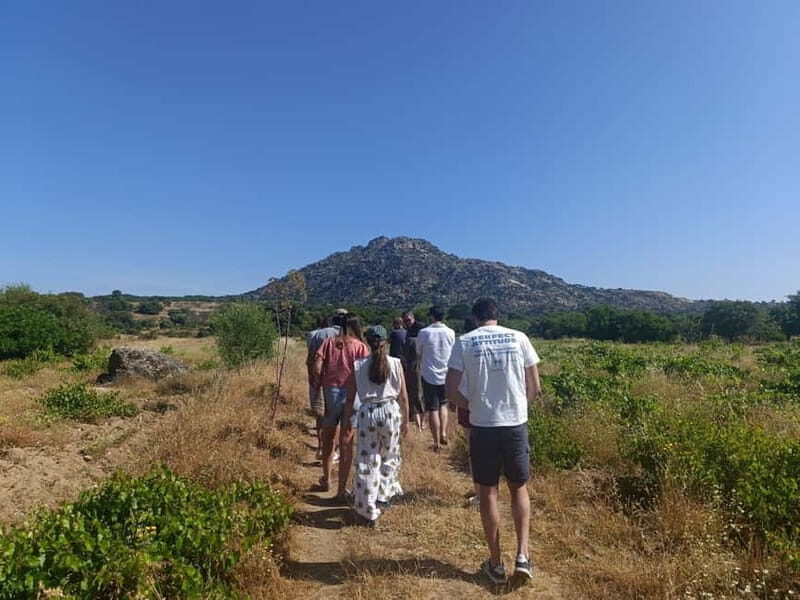 Madrid Winery Tour with Tasting & Sommelier Guide - A Detailed Look at the Madrid Winery Tour